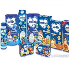 嬰王世家 創新工藝品與母嬰用品的財富新機遇